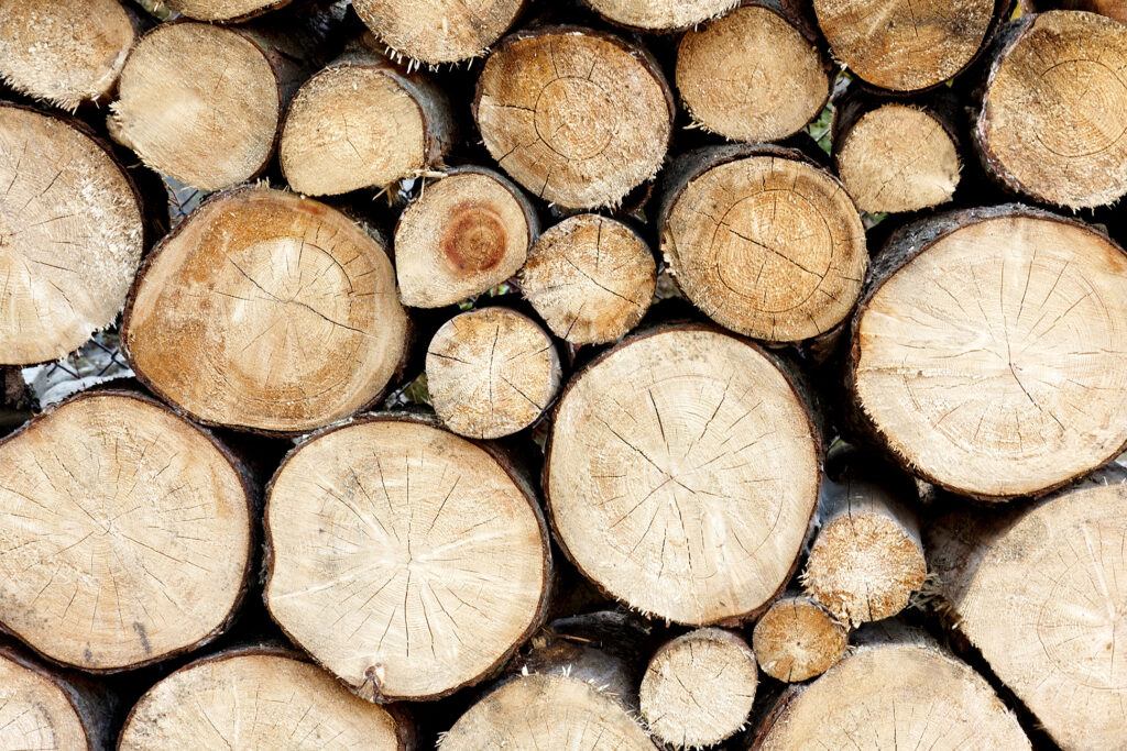 A pile of sawed wood logs